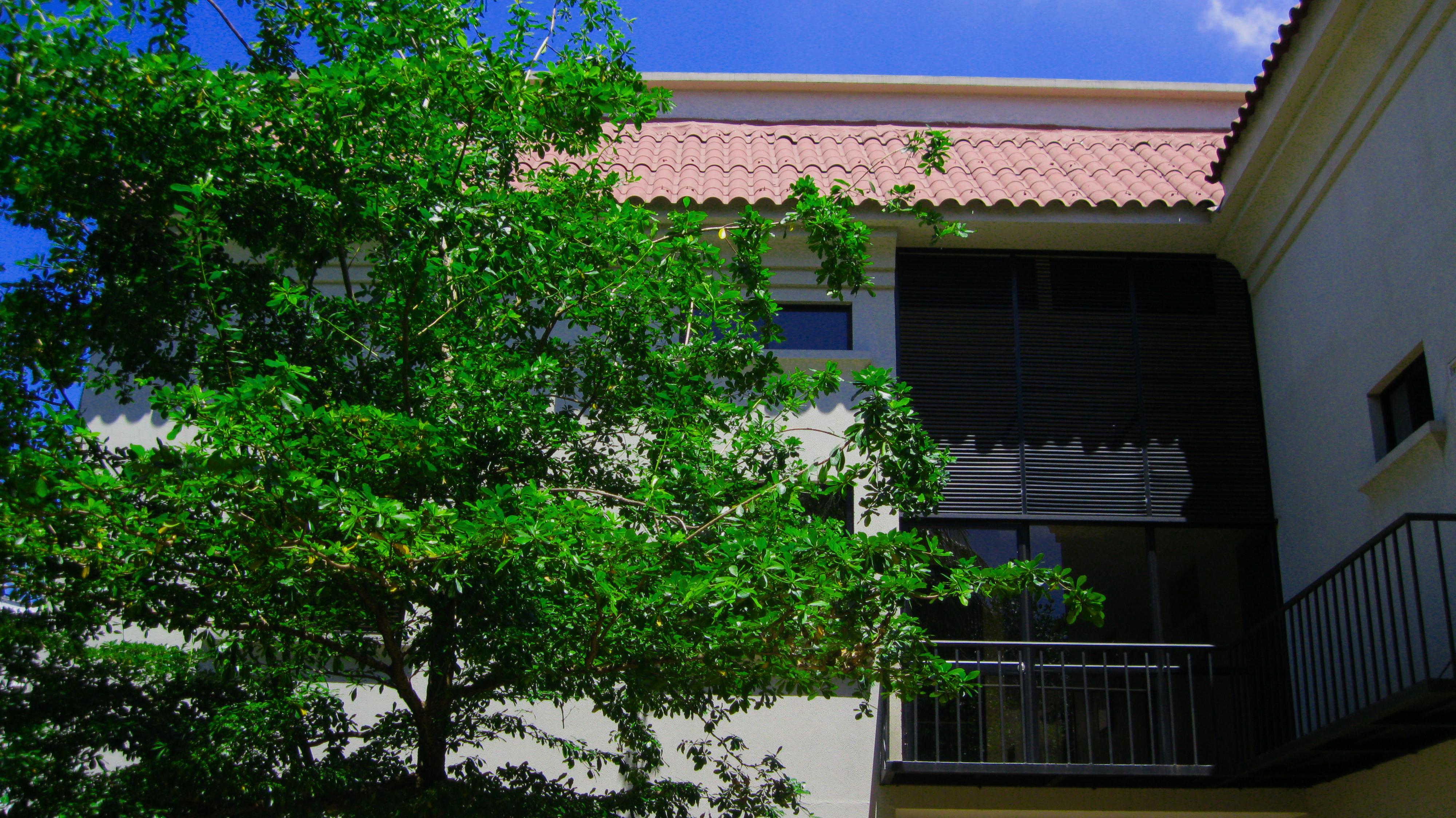 Apartterrazas Guayaquil -Suites&Lofts- 外观 照片